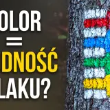 Kolorowe strzałki szlaku górskiego namalowane na drzewie.